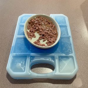 oval cat food dish on top of square blue ice pack